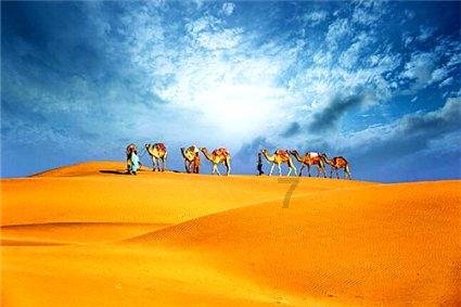 笑脸球的冒险之旅